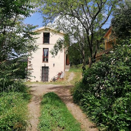 Ferula Romantica Mansarda Tra Fiumi E Montagne Sardegna Seùlo Exterior foto