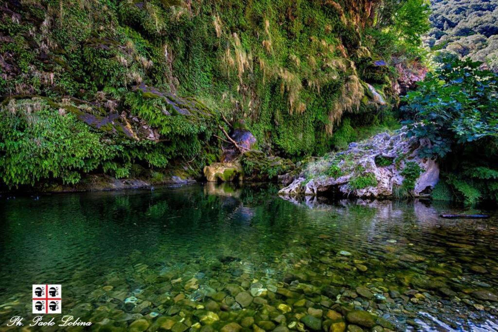 Ferula Romantica Mansarda Tra Fiumi E Montagne Sardegna Seùlo Exterior foto